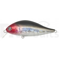 Pontoon21 Bet-A-Shad